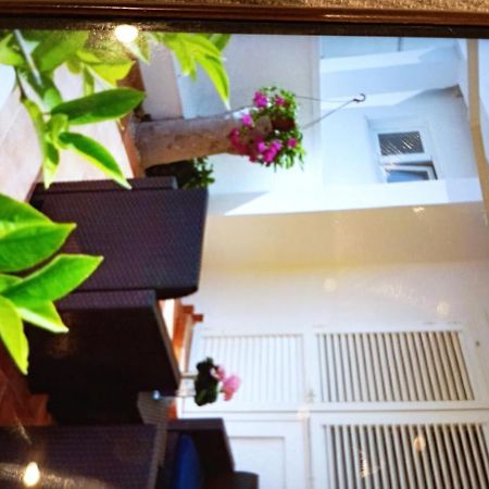 Apartmani Trubi 1 Vodice Eksteriør billede