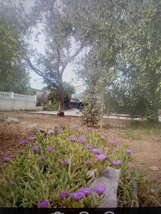 Apartmani Trubi 1 Vodice Eksteriør billede